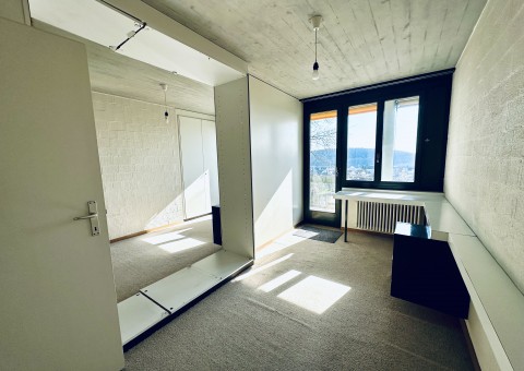 Ankündigung: Freistehender Wohntraum mit unverbaubarer Aussicht in 8240 Thayngen SH...
