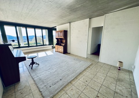 Ankündigung: Freistehender Wohntraum mit unverbaubarer Aussicht in 8240 Thayngen SH...